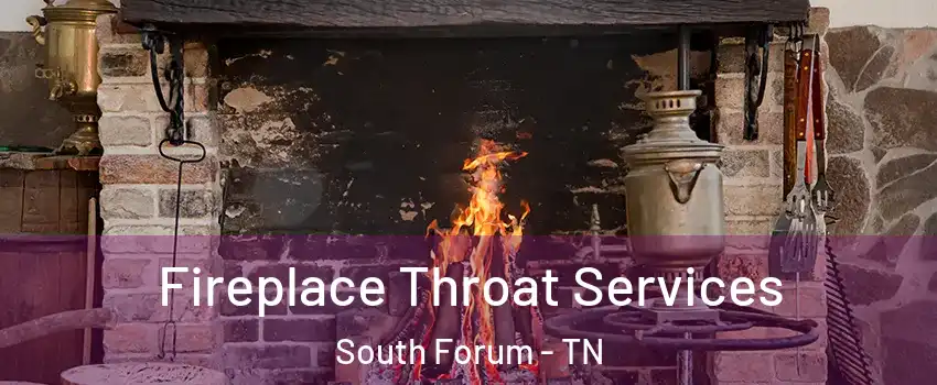 Fireplace Throat Services South Forum - TN