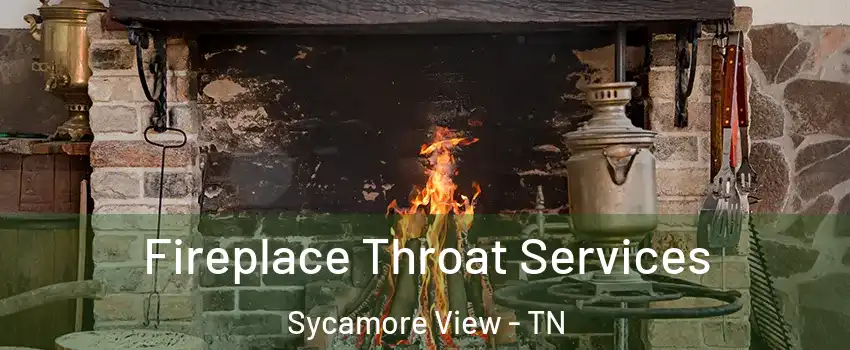 Fireplace Throat Services Sycamore View - TN