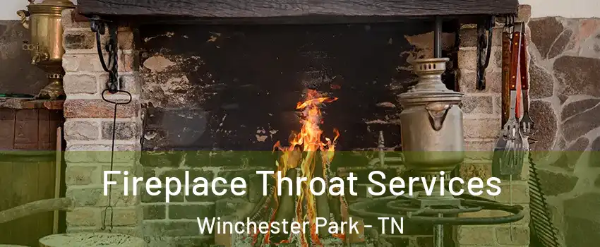 Fireplace Throat Services Winchester Park - TN