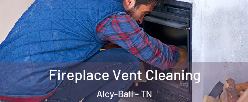 Fireplace Vent Cleaning Alcy-Ball - TN