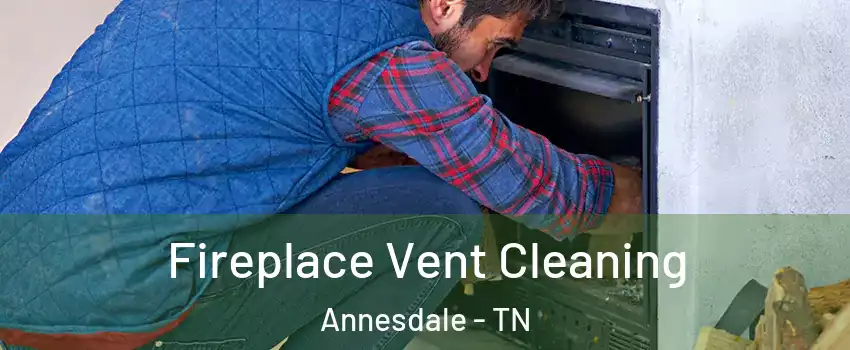 Fireplace Vent Cleaning Annesdale - TN