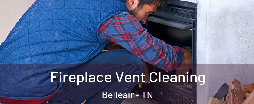 Fireplace Vent Cleaning Belleair - TN