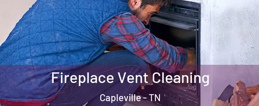 Fireplace Vent Cleaning Capleville - TN