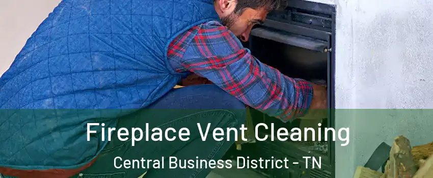 Fireplace Vent Cleaning Central Business District - TN