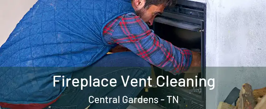 Fireplace Vent Cleaning Central Gardens - TN