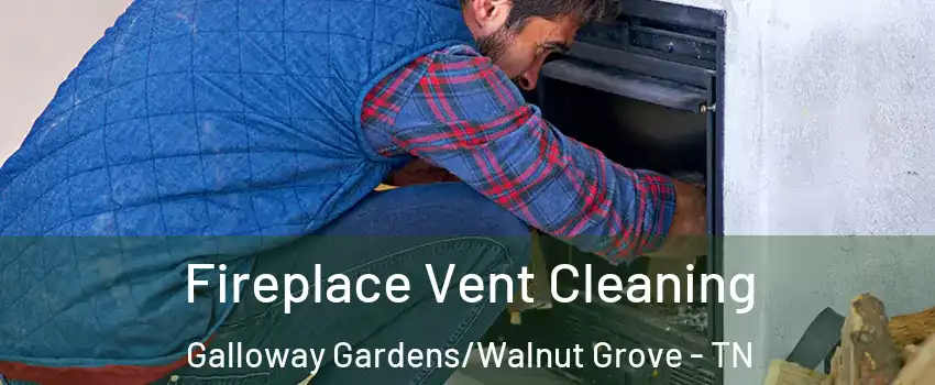 Fireplace Vent Cleaning Galloway Gardens/Walnut Grove - TN