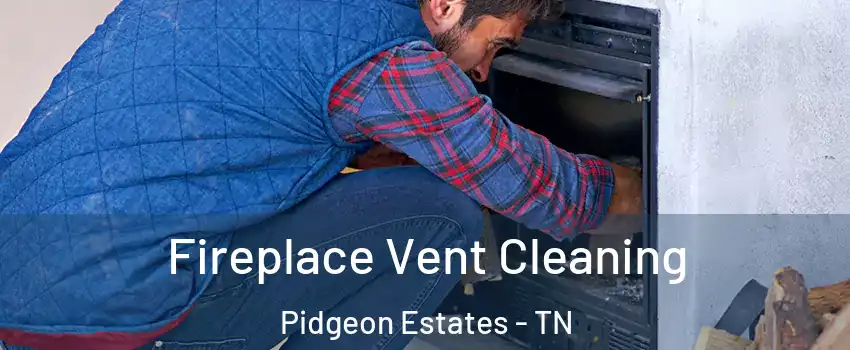 Fireplace Vent Cleaning Pidgeon Estates - TN