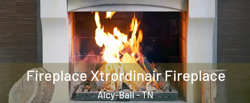 Fireplace Xtrordinair Fireplace Alcy-Ball - TN