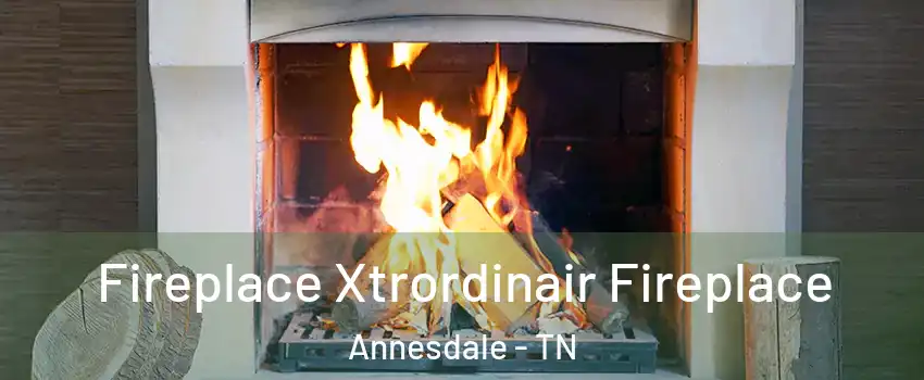 Fireplace Xtrordinair Fireplace Annesdale - TN