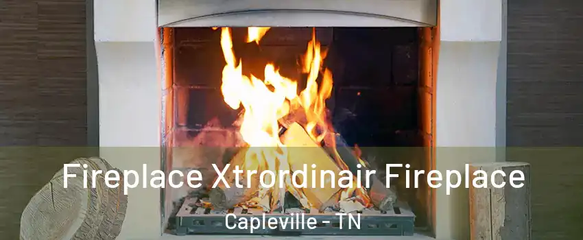 Fireplace Xtrordinair Fireplace Capleville - TN