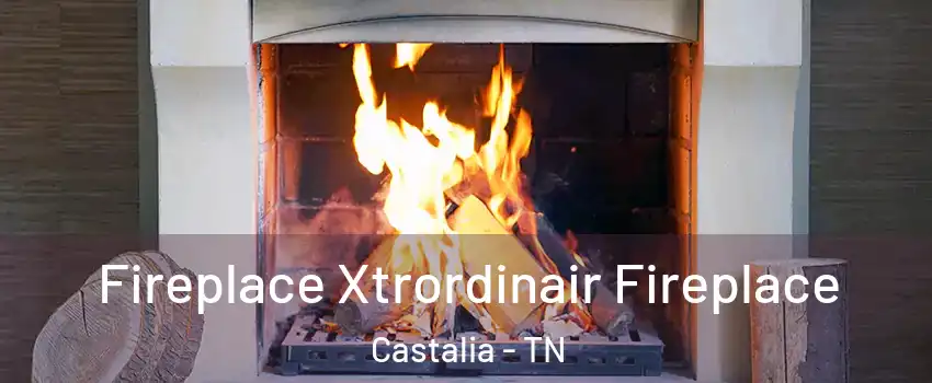 Fireplace Xtrordinair Fireplace Castalia - TN