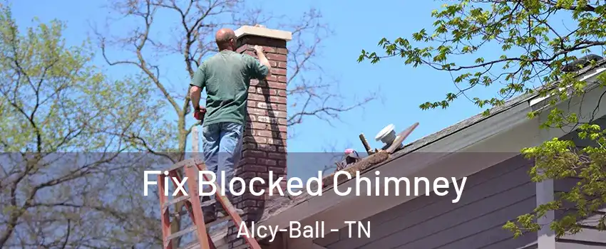 Fix Blocked Chimney Alcy-Ball - TN