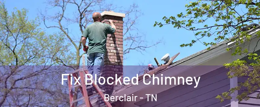 Fix Blocked Chimney Berclair - TN