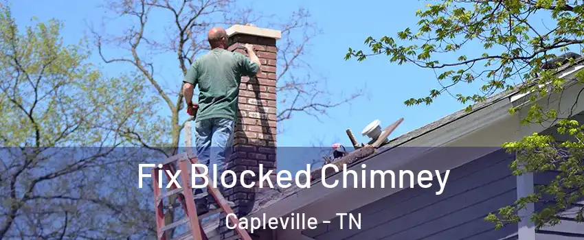 Fix Blocked Chimney Capleville - TN