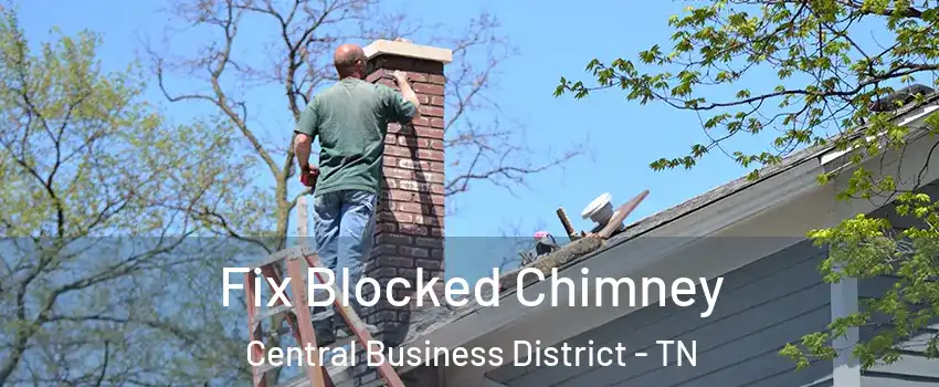 Fix Blocked Chimney Central Business District - TN