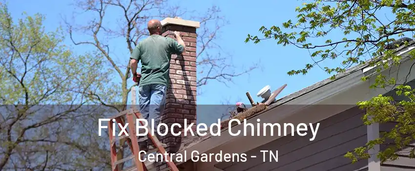 Fix Blocked Chimney Central Gardens - TN