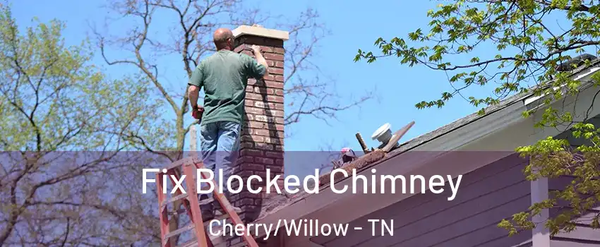 Fix Blocked Chimney Cherry/Willow - TN