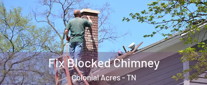 Fix Blocked Chimney Colonial Acres - TN