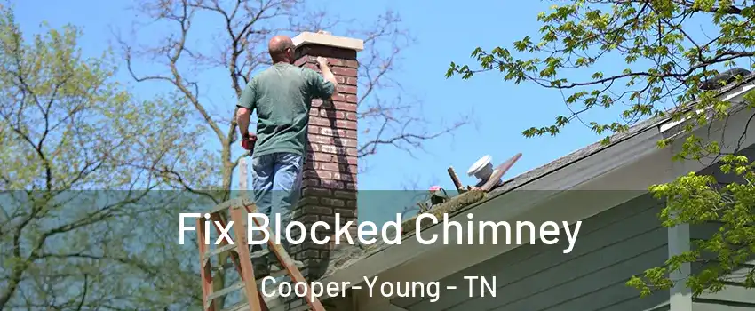 Fix Blocked Chimney Cooper-Young - TN