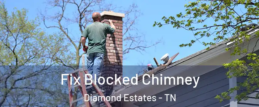 Fix Blocked Chimney Diamond Estates - TN