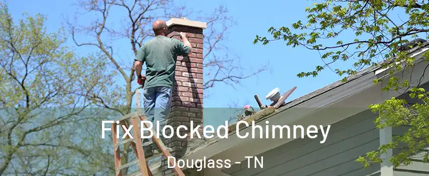 Fix Blocked Chimney Douglass - TN