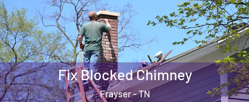 Fix Blocked Chimney Frayser - TN