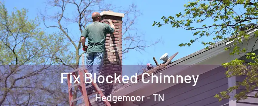 Fix Blocked Chimney Hedgemoor - TN