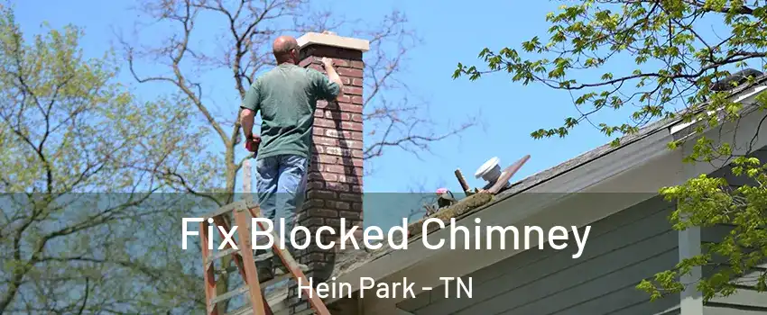 Fix Blocked Chimney Hein Park - TN