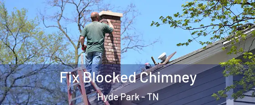 Fix Blocked Chimney Hyde Park - TN