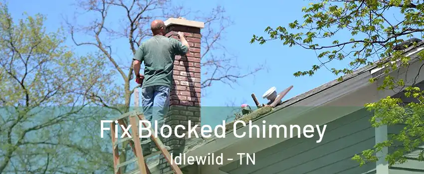 Fix Blocked Chimney Idlewild - TN