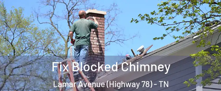 Fix Blocked Chimney Lamar Avenue (Highway 78) - TN