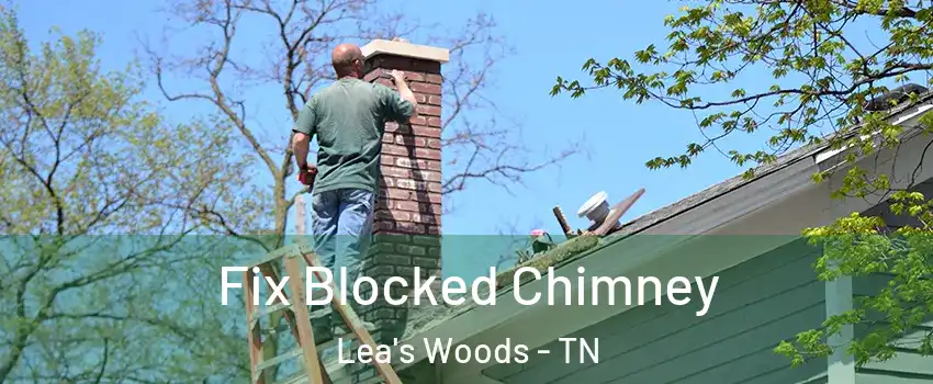 Fix Blocked Chimney Lea's Woods - TN