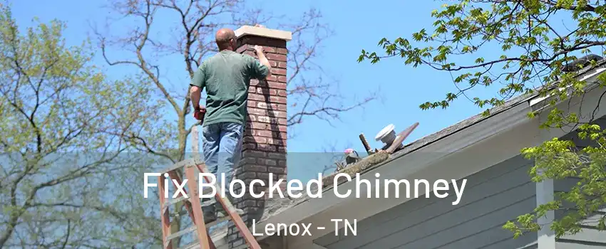 Fix Blocked Chimney Lenox - TN