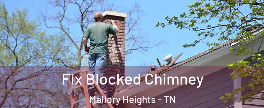 Fix Blocked Chimney Mallory Heights - TN