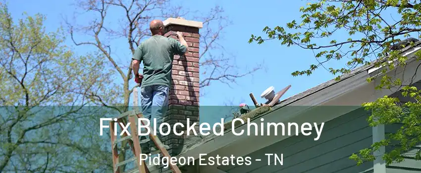 Fix Blocked Chimney Pidgeon Estates - TN