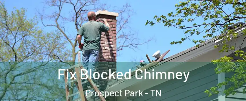 Fix Blocked Chimney Prospect Park - TN