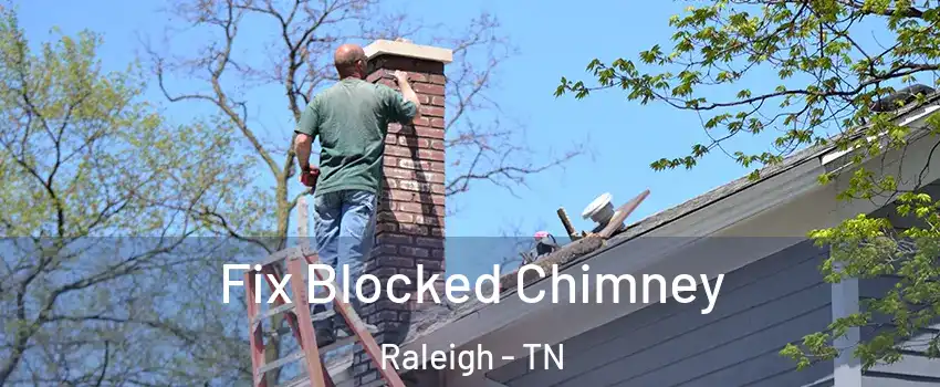 Fix Blocked Chimney Raleigh - TN