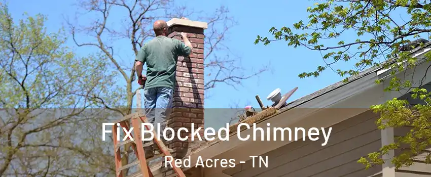 Fix Blocked Chimney Red Acres - TN