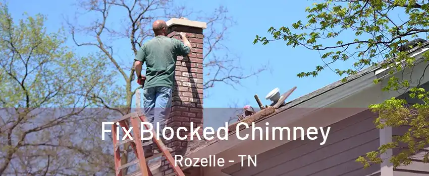 Fix Blocked Chimney Rozelle - TN