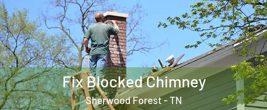 Fix Blocked Chimney Sherwood Forest - TN