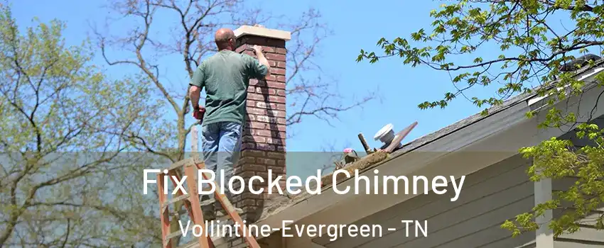 Fix Blocked Chimney Vollintine-Evergreen - TN