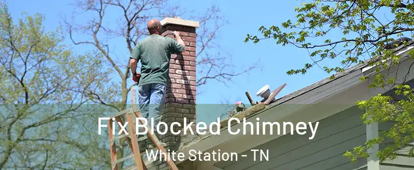 Fix Blocked Chimney White Station - TN