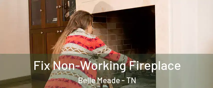 Fix Non-Working Fireplace Belle Meade - TN