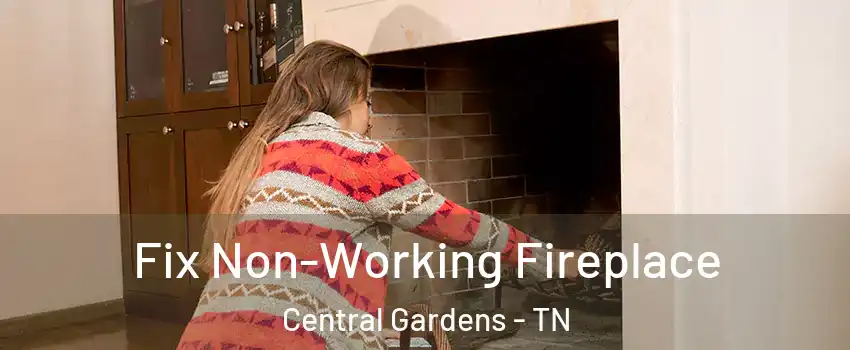 Fix Non-Working Fireplace Central Gardens - TN