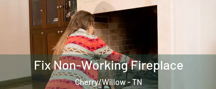 Fix Non-Working Fireplace Cherry/Willow - TN