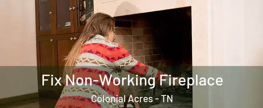 Fix Non-Working Fireplace Colonial Acres - TN