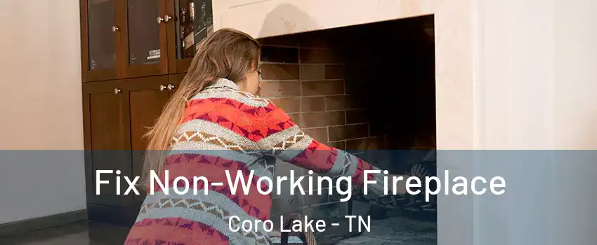 Fix Non-Working Fireplace Coro Lake - TN