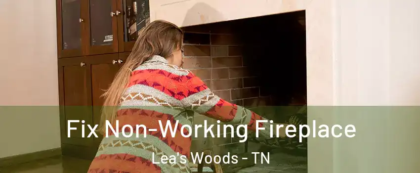 Fix Non-Working Fireplace Lea's Woods - TN