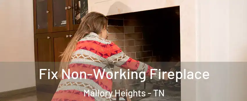 Fix Non-Working Fireplace Mallory Heights - TN