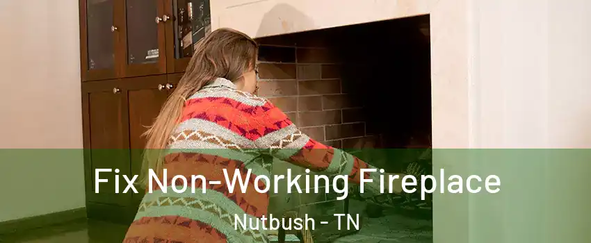 Fix Non-Working Fireplace Nutbush - TN